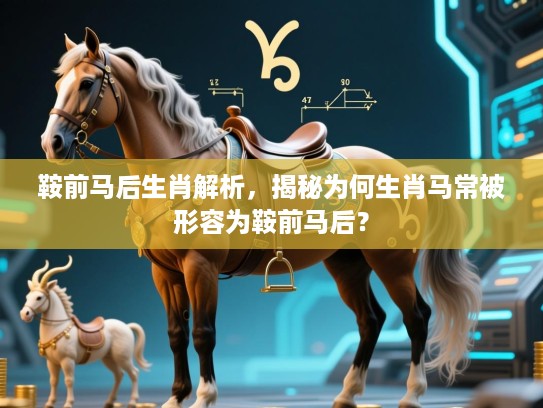 鞍前马后生肖解析，揭秘为何生肖马常被形容为鞍前马后？
