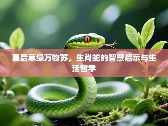 夏后草绿万物苏，生肖蛇的智慧启示与生活哲学