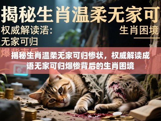 揭秘生肖温柔无家可归惨状,权威解读成语无家可归爆惨背后的生肖困境 揭秘生肖温柔无家可归惨状,权威解读成语无家可归爆惨背后的生肖困境