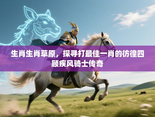 生肖生肖草原，探寻打最佳一肖的彷徨四顾疾风骑士传奇