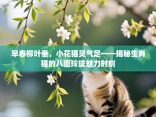 早春柳叶垂，小花猫灵气足——揭秘生肖猫的八面玲珑魅力时刻