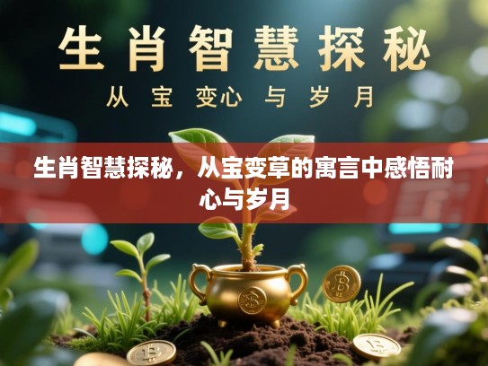 生肖智慧探秘，从宝变草的寓言中感悟耐心与岁月