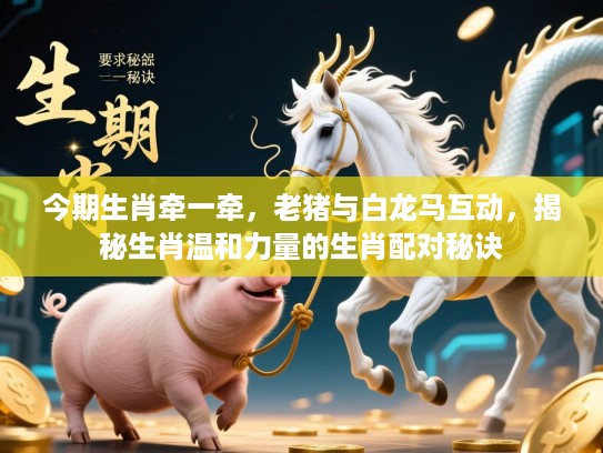 今期生肖牵一牵，老猪与白龙马互动，揭秘生肖温和力量的生肖配对秘诀