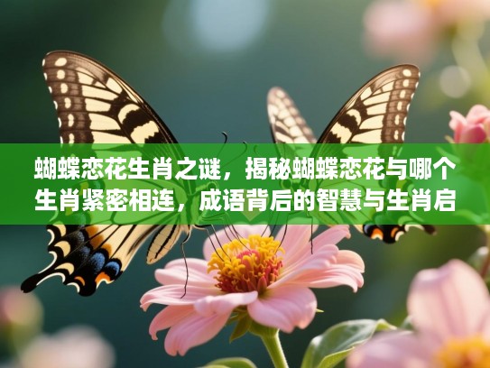 蝴蝶恋花生肖之谜，揭秘蝴蝶恋花与哪个生肖紧密相连，成语背后的智慧与生肖启示解读
