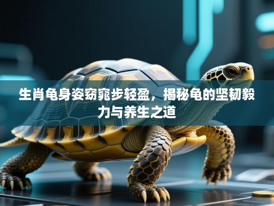 生肖龟身姿窈窕步轻盈，揭秘龟的坚韧毅力与养生之道