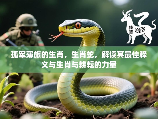 孤军薄旅的生肖，生肖蛇，解读其最佳释义与生肖与耕耘的力量