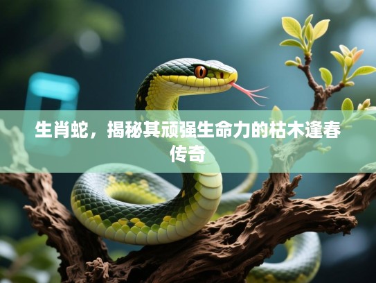 生肖蛇，揭秘其顽强生命力的枯木逢春传奇