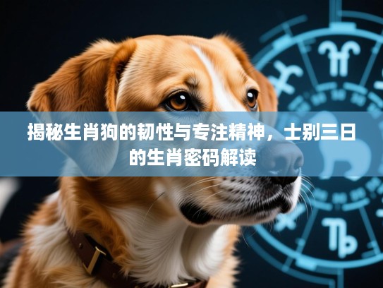 揭秘生肖狗的韧性与专注精神，士别三日的生肖密码解读