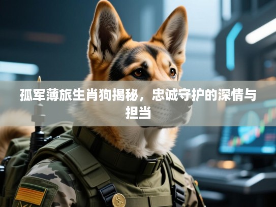 孤军薄旅生肖狗揭秘,忠诚守护的深情与担当 孤军薄旅生肖狗揭秘,忠诚守护的深情与担当