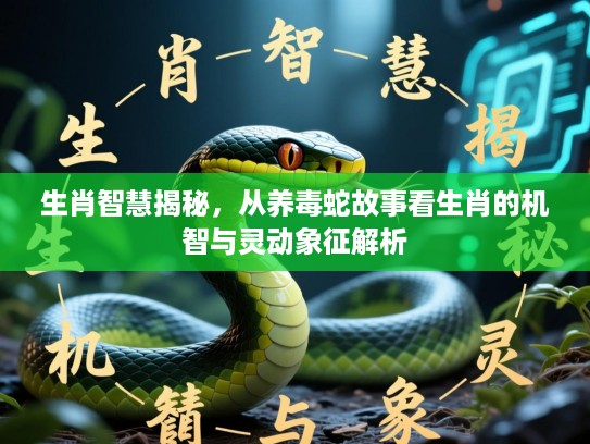 生肖智慧揭秘，从养毒蛇故事看生肖的机智与灵动象征解析