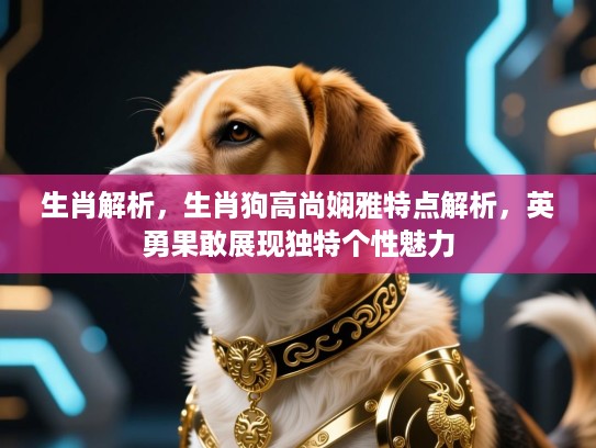 生肖解析,生肖狗高尚娴雅特点解析,英勇果敢展现独特个性魅力 生肖解析,生肖狗高尚娴雅特点解析,英勇果敢展现独特个性魅力