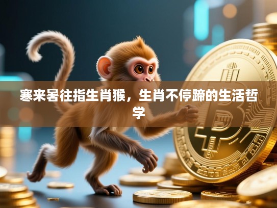 寒来暑往指生肖猴,生肖不停蹄的生活哲学 寒来暑往指生肖猴,生肖不停蹄的生活哲学