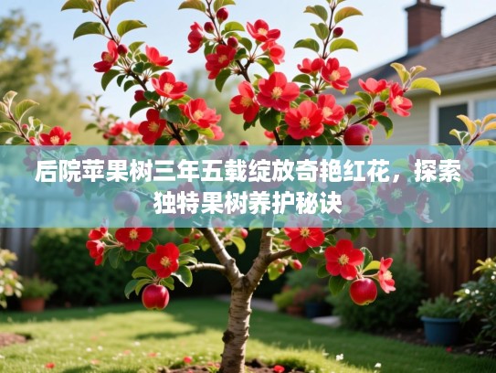 后院苹果树三年五载绽放奇艳红花，探索独特果树养护秘诀