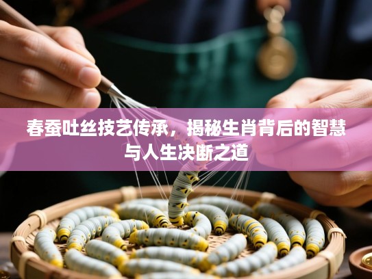 春蚕吐丝技艺传承，揭秘生肖背后的智慧与人生决断之道