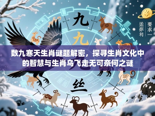 数九寒天生肖谜题解密，探寻生肖文化中的智慧与生肖乌飞走无可奈何之谜