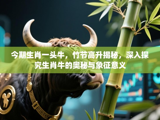 今期生肖一头牛,竹节高升揭秘,深入探究生肖牛的奥秘与象征意义 今期生肖一头牛,竹节高升揭秘,深入探究生肖牛的奥秘与象征意义