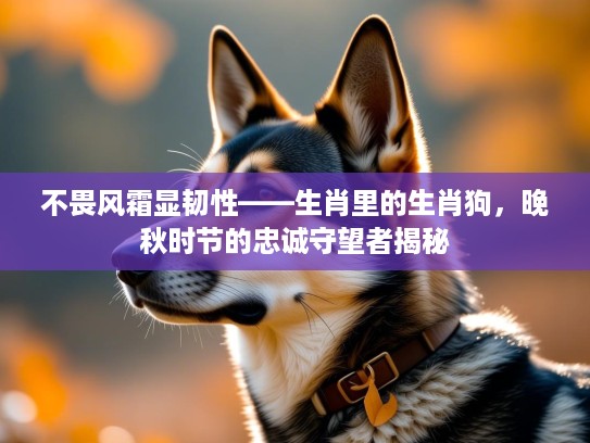 不畏风霜显韧性——生肖里的生肖狗，晚秋时节的忠诚守望者揭秘
