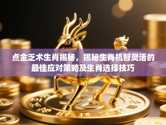 点金乏术生肖揭秘，揭秘生肖机智灵活的最佳应对策略及生肖选择技巧