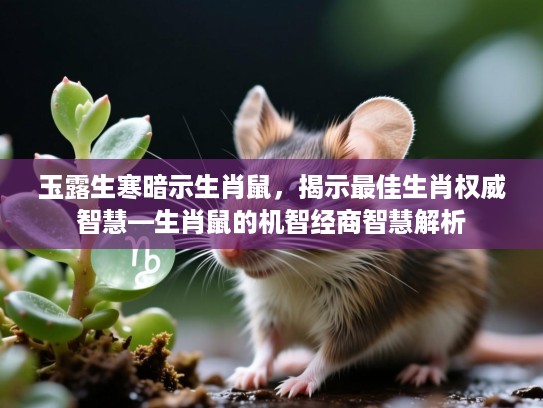 玉露生寒暗示生肖鼠,揭示最佳生肖权威智慧—生肖鼠的机智经商智慧解析 玉露生寒暗示生肖鼠,揭示最佳生肖权威智慧—生肖鼠的机智经商智慧解析