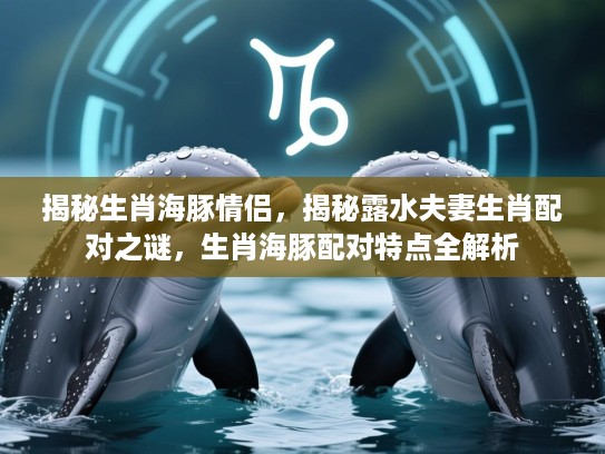 揭秘生肖海豚情侣，揭秘露水夫妻生肖配对之谜，生肖海豚配对特点全解析