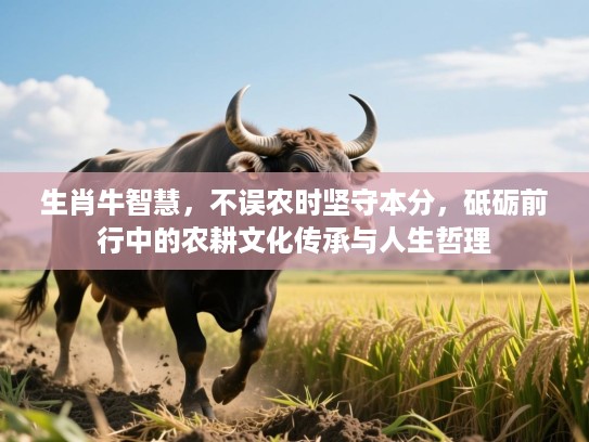 生肖牛智慧,不误农时坚守本分,砥砺前行中的农耕文化传承与人生哲理 生肖牛智慧,不误农时坚守本分,砥砺前行中的农耕文化传承与人生哲理