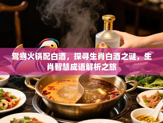鸳鸯火锅配白酒,探寻生肖白酒之谜,生肖智慧成语解析之旅 鸳鸯火锅配白酒,探寻生肖白酒之谜,生肖智慧成语解析之旅