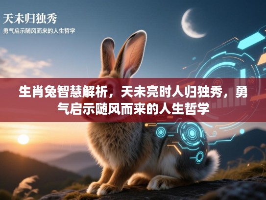 生肖兔智慧解析，天未亮时人归独秀，勇气启示随风而来的人生哲学