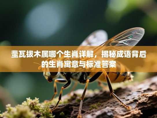 蜚瓦拔木属哪个生肖详解，揭秘成语背后的生肖寓意与标准答案