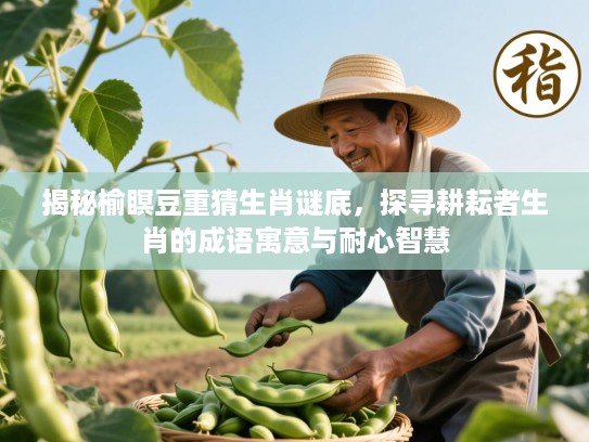 揭秘榆瞑豆重猜生肖谜底，探寻耕耘者生肖的成语寓意与耐心智慧