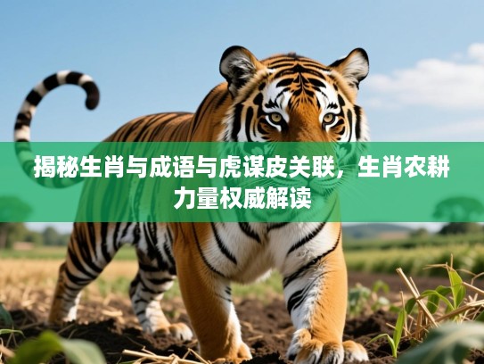 揭秘生肖与成语与虎谋皮关联，生肖农耕力量权威解读