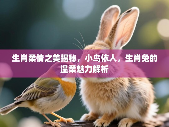 生肖柔情之美揭秘,小鸟依人,生肖兔的温柔魅力解析 生肖柔情之美揭秘,小鸟依人,生肖兔的温柔魅力解析