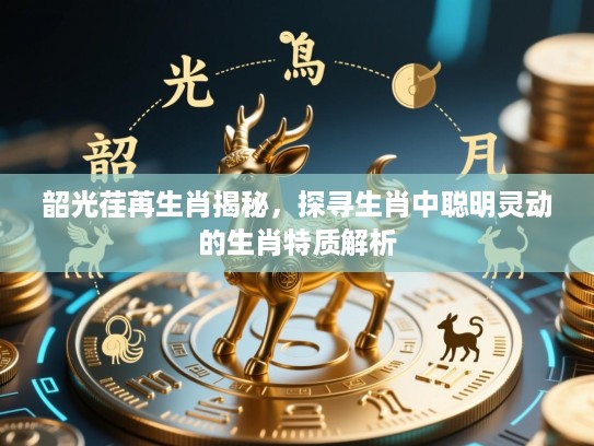 韶光荏苒生肖揭秘,探寻生肖中聪明灵动的生肖特质解析 韶光荏苒生肖揭秘,探寻生肖中聪明灵动的生肖特质解析
