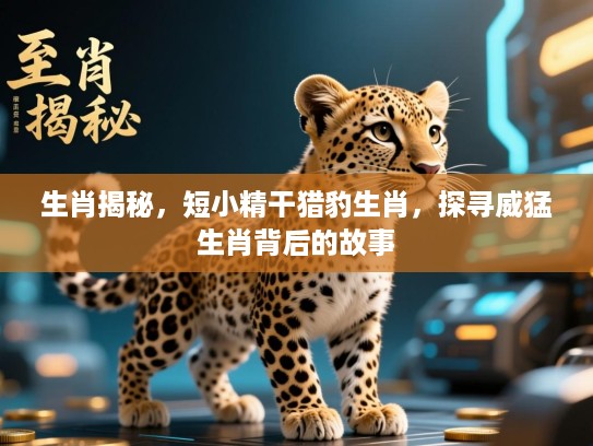 生肖揭秘，短小精干猎豹生肖，探寻威猛生肖背后的故事